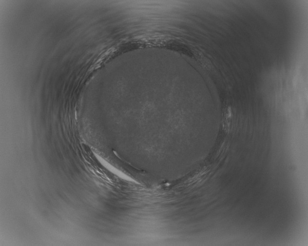 X0000076321010200610201633