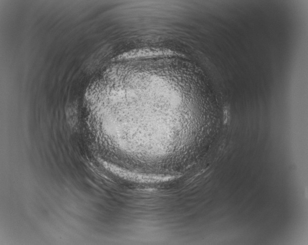 X0000076321011200610201633