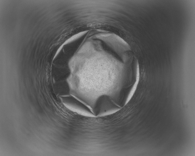 X0000076321012200610201633