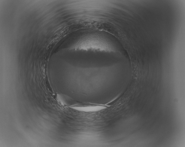 X0000076321013200610201633