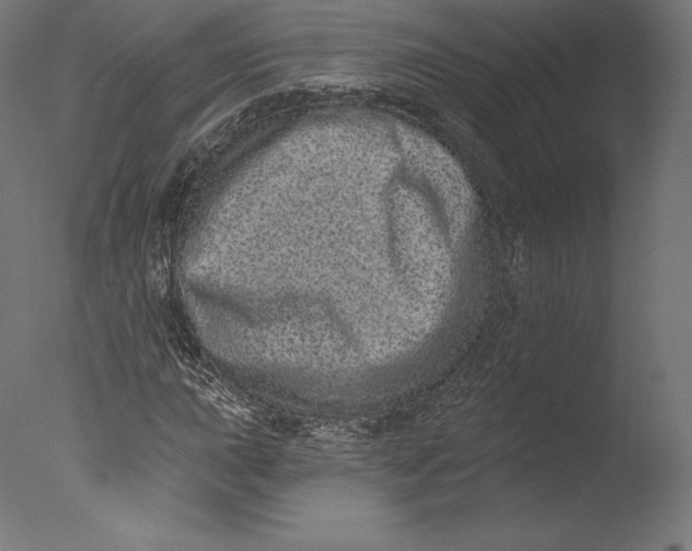 X0000076321015200610201633