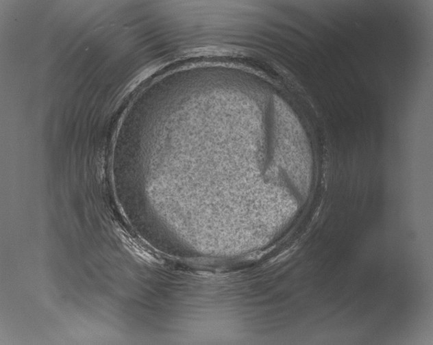 X0000076321017200610201633