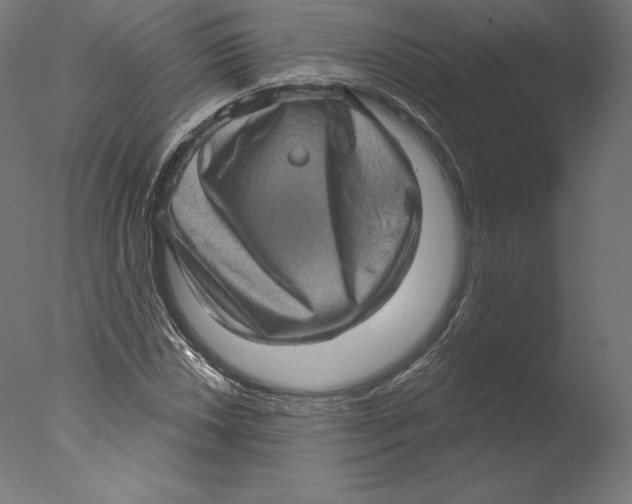 X0000076321018200610201633