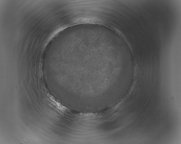 X0000076321019200610201633