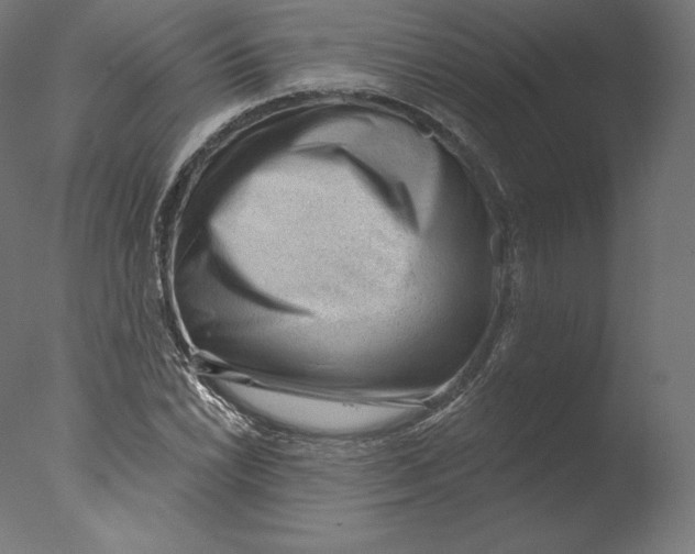 X0000076321022200610201633