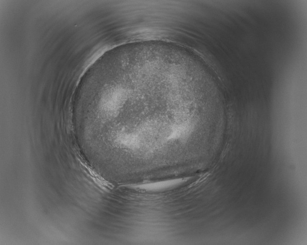 X0000076321023200610201633