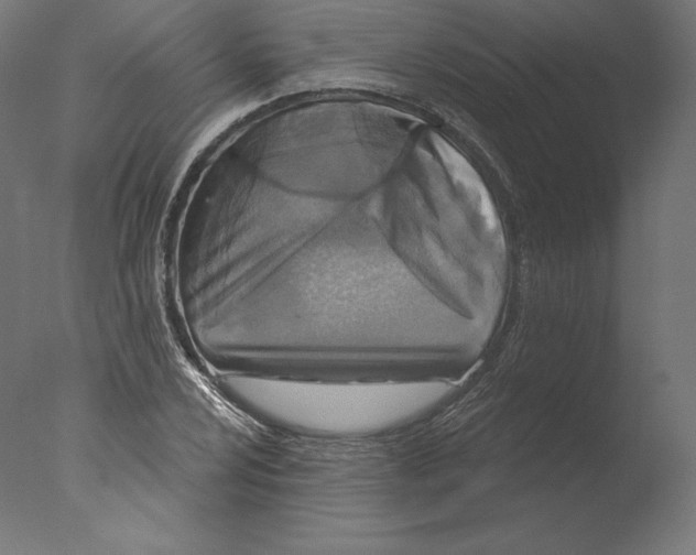 X0000076321024200610201633