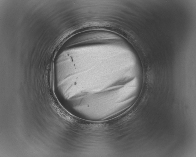 X0000076321025200610201633