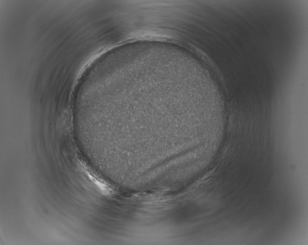 X0000076321027200610201633