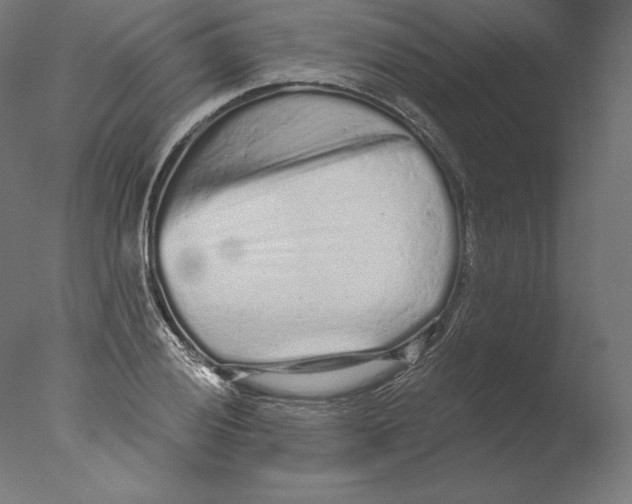 X0000076321028200610201633