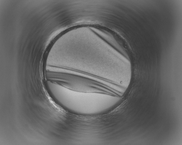 X0000076321030200610201633