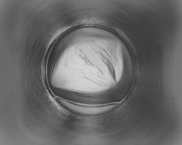 X0000076321032200610201633