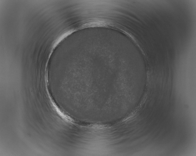 X0000076321034200610201633