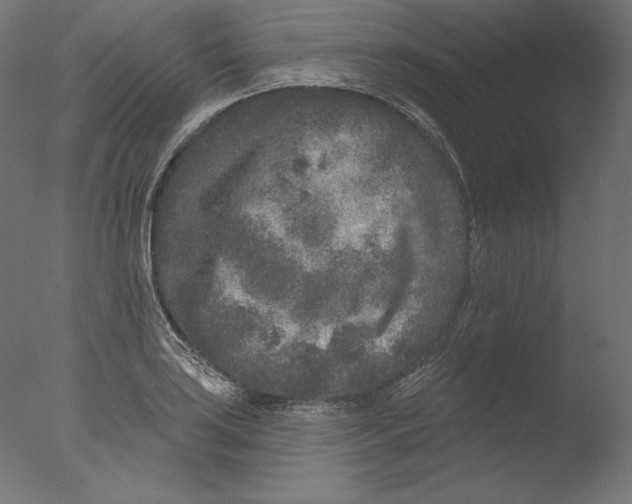 X0000076321035200610201633