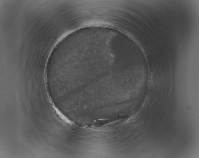 X0000076321037200610201633