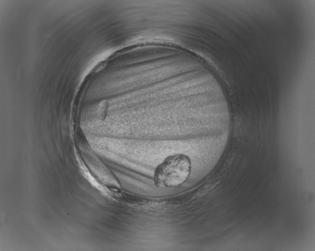 X0000076321038200610201633