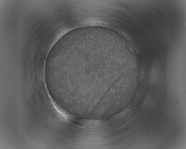 X0000076321039200610201633