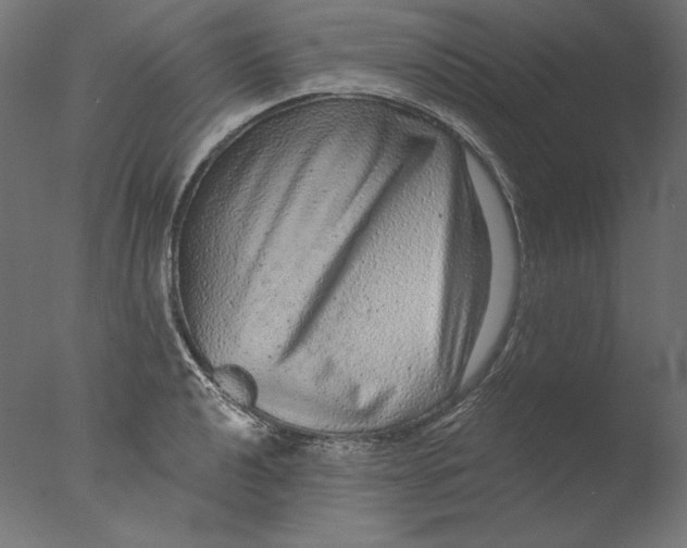 X0000076321040200610201633