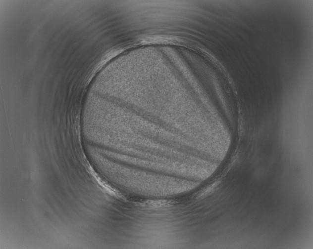 X0000076321041200610201633