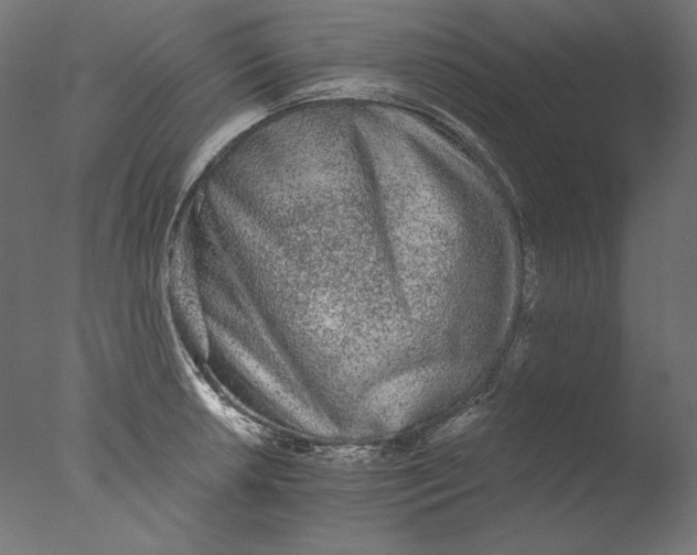 X0000076321042200610201633