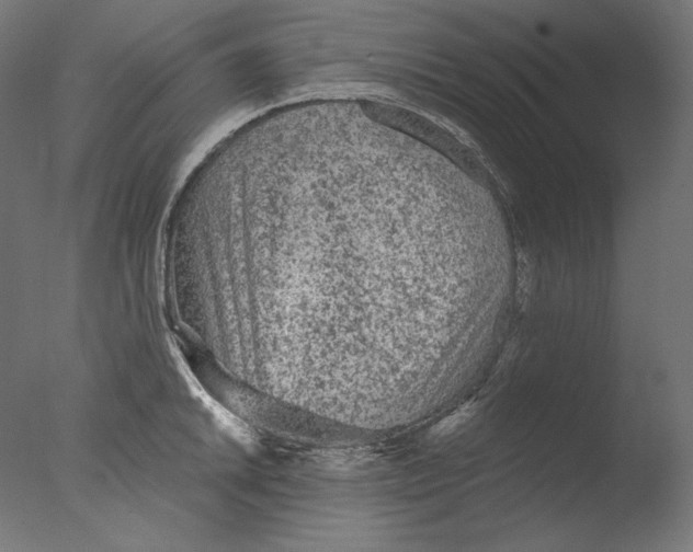 X0000076321046200610201633