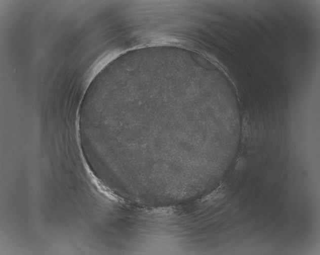 X0000076321047200610201633