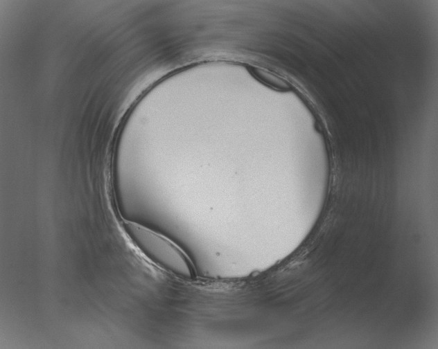 X0000076321048200610201634