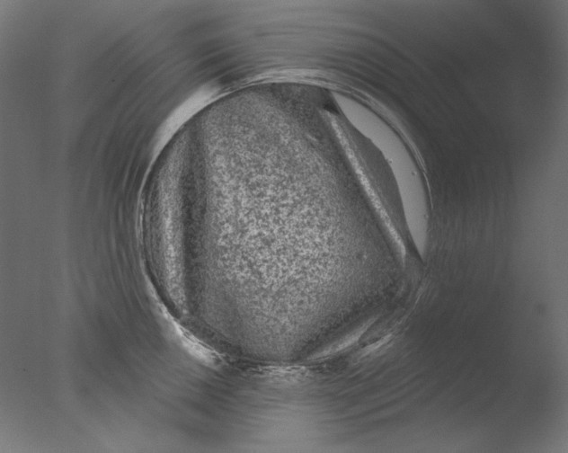 X0000076321050200610201634