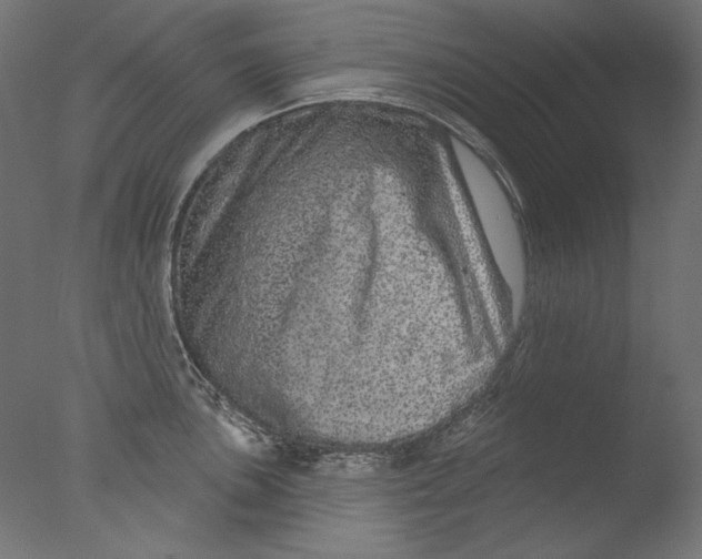 X0000076321051200610201634