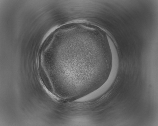 X0000076321054200610201634