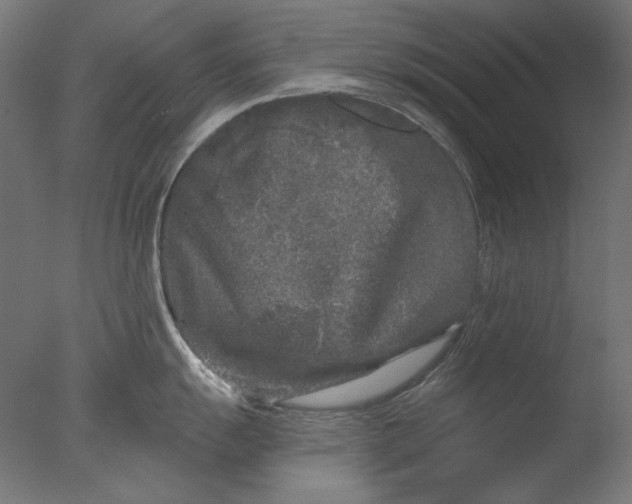 X0000076321055200610201634