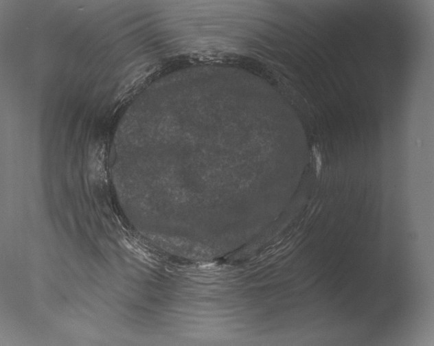 X0000076321060200610201633