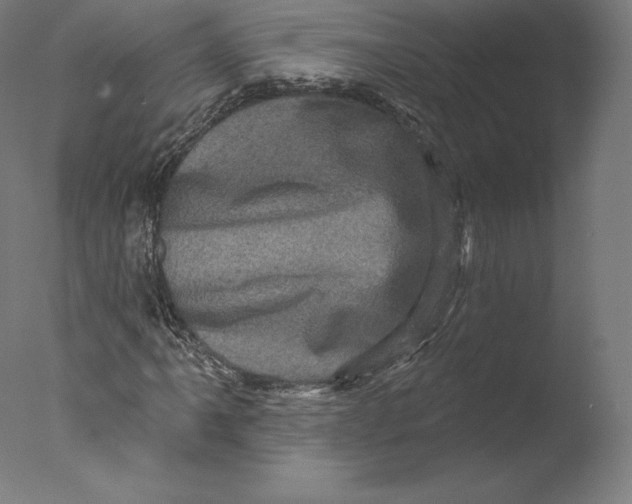 X0000076321061200610201633