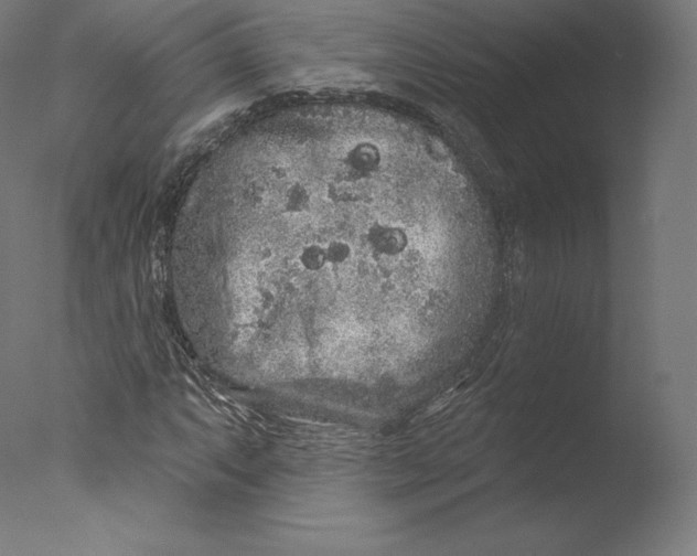 X0000076321063200610201633