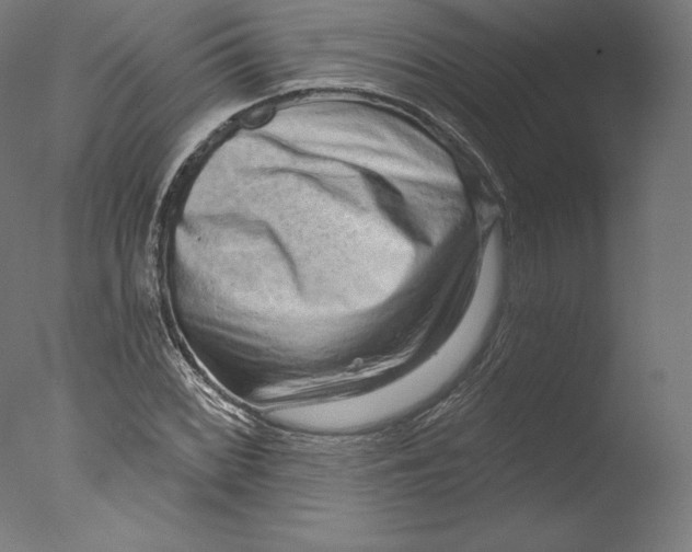 X0000076321068200610201633