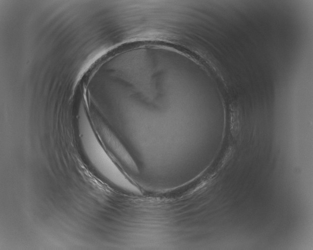 X0000076321069200610201633