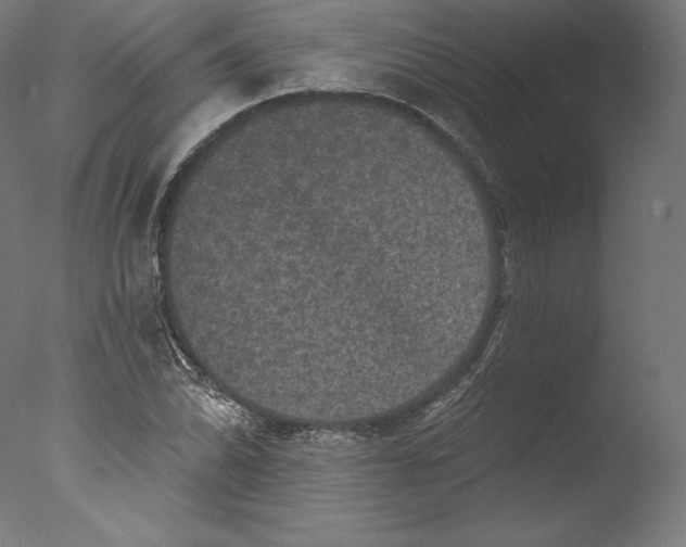 X0000076321070200610201633