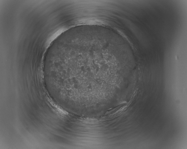 X0000076321071200610201633