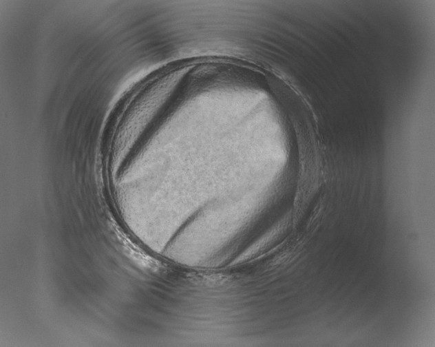 X0000076321072200610201633