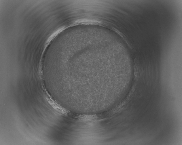 X0000076321074200610201633