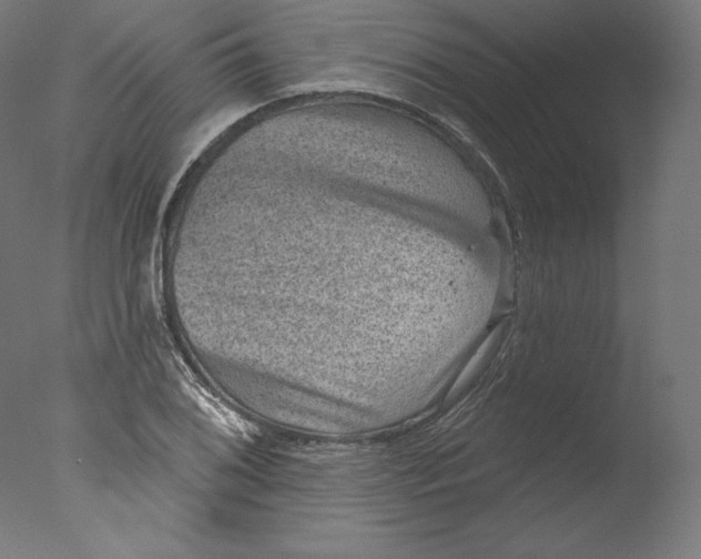 X0000076321076200610201633