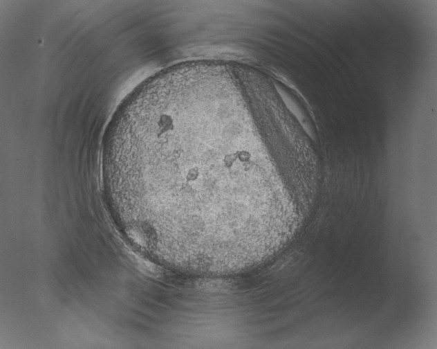 X0000076321079200610201632