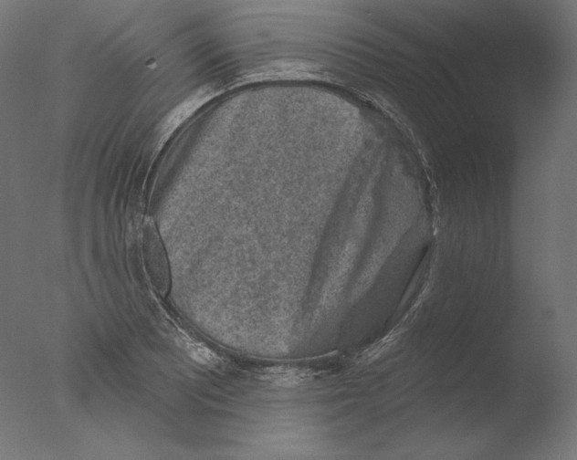 X0000076321081200610201632