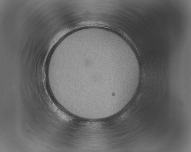 X0000076321082200610201632