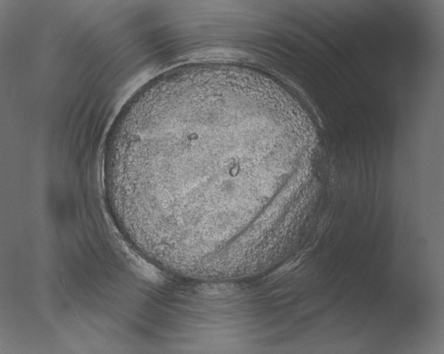 X0000076321083200610201632