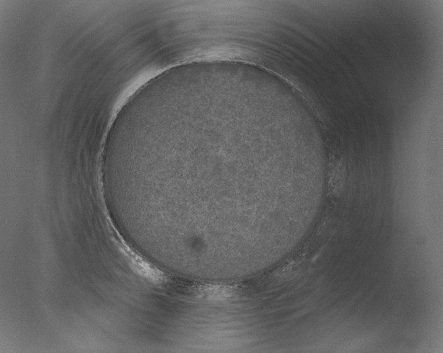 X0000076321086200610201632