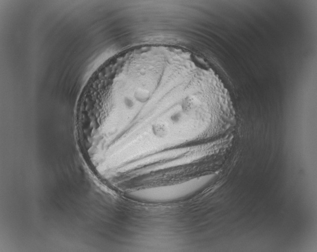 X0000076321087200610201632