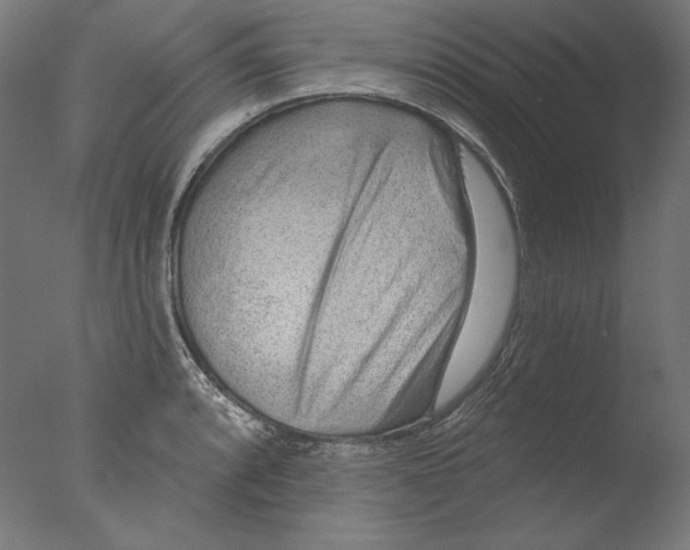 X0000076321088200610201632