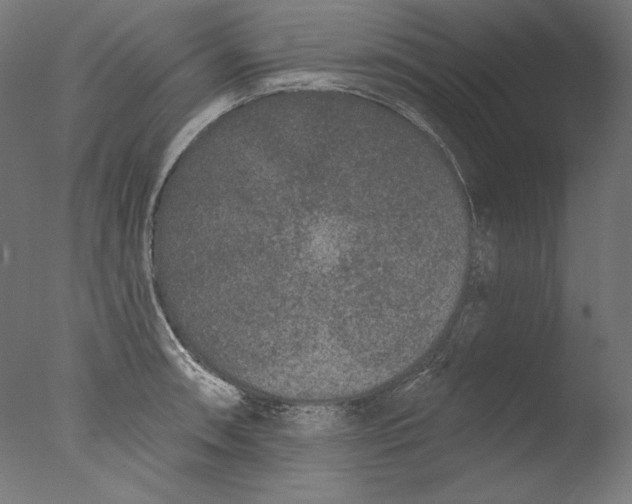 X0000076321090200610201632