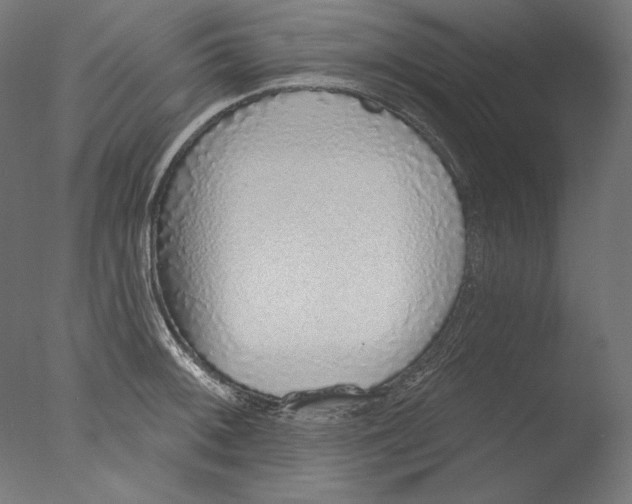 X0000076321092200610201632